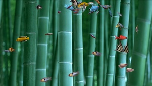 水鱼馆