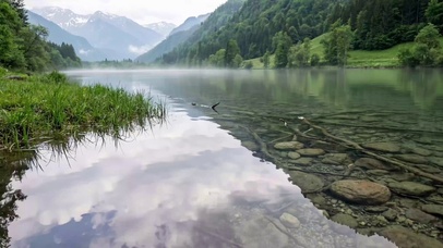 乡村的自然绿色河流