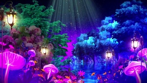 迷人的夜晚