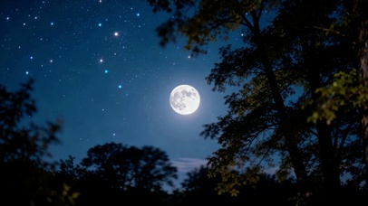 星夜月色
