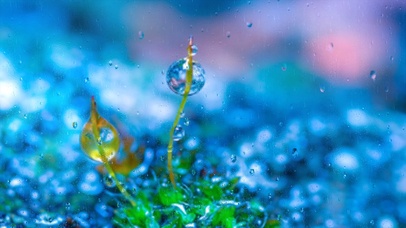 小清新护眼雨滴屏