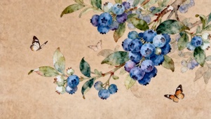 古风蓝莓