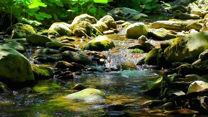 夏日清凉小溪4K