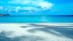海边风景