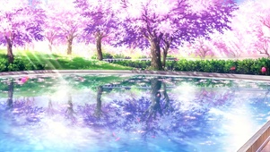 樱花公园