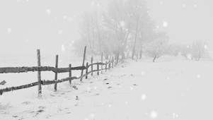 唯美治愈雪景