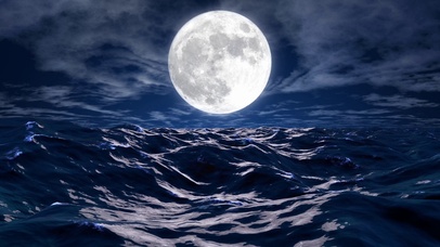 4K丶海上升明月