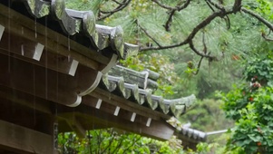 屋檐下的雨