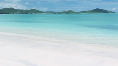 加勒比海滩无缝循环带鱼屏宽屏