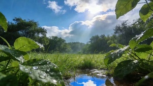雨过天晴