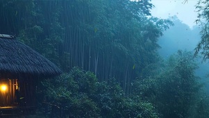 护眼雨天竹林带鱼屏