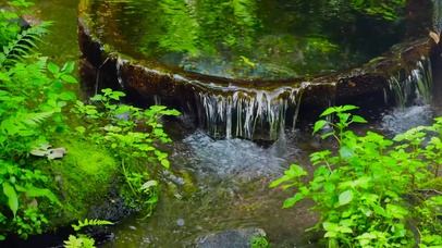 夏日清凉溪水