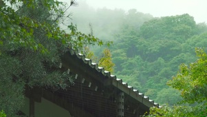 山间古寺屋檐雨