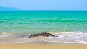 放松安静海滩海浪
