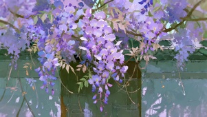 春天的紫藤花
