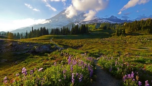 唯美高山草地