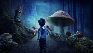 小男孩与梦幻蘑菇