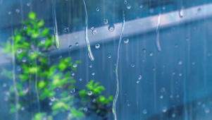 4k 窗外雨