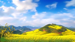梯田油菜花