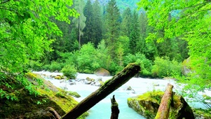 唯美护眼溪流 4K