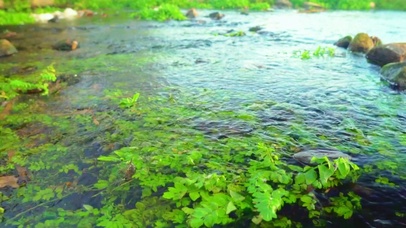 唯美护眼小河 4K