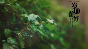 伤心雨中文字控