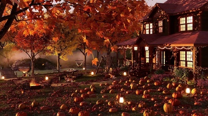 秋季农场南瓜园