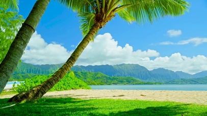 放松绿地高山湖边