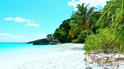 夏日阳光海滩 4K