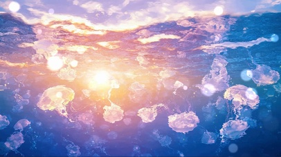 梦幻黄昏落日海洋水母