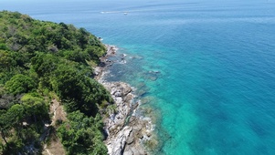 青山大海