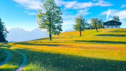 移动城堡里的风景