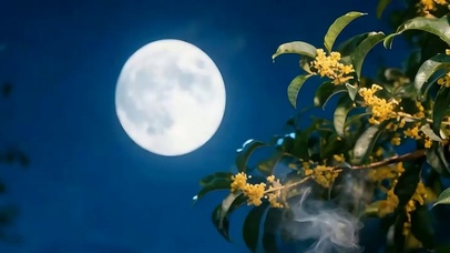 中秋赏月带鱼屏