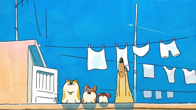 柯基 愉快的下午