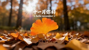 十一月你好