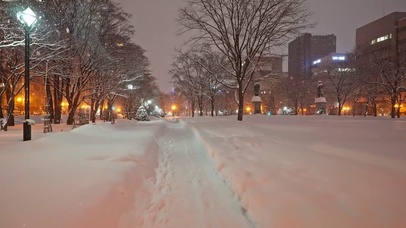 街道上的鹅毛大雪
