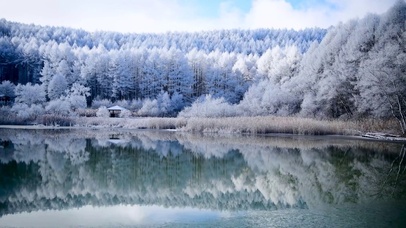 4K唯美冬日雾凇湖面
