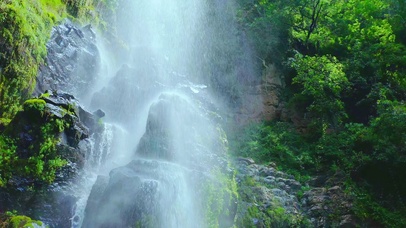 入云深处亦沾衣