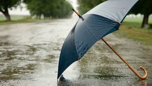 雨中的雨伞