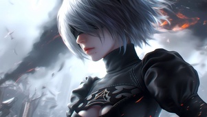 尼尔2b