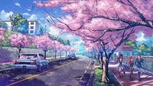 樱花街道