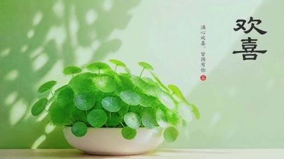 国风欢喜
