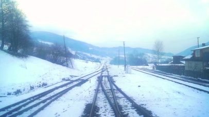 4K 高清 火车通过冬季森林