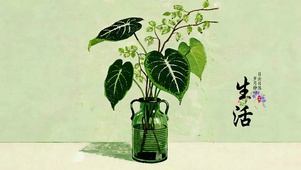 岁月静好  护眼治愈