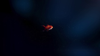深海吉利小红鱼