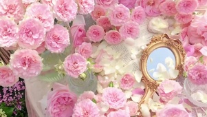 花花世界