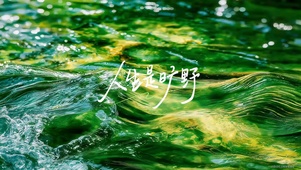绿绿的湖水