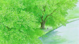 治愈森林河畔