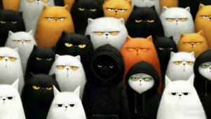 帽衫猫咪（我有一个帽衫）