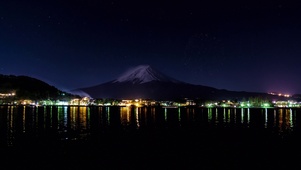 烟花小镇河口湖冬花